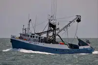Kapal pukat cincin untuk dijual