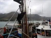 Kapal pukat untuk dijual