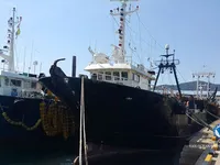 Kapal pukat untuk dijual