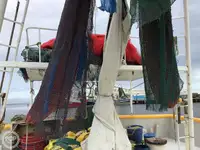Kapal pukat untuk dijual