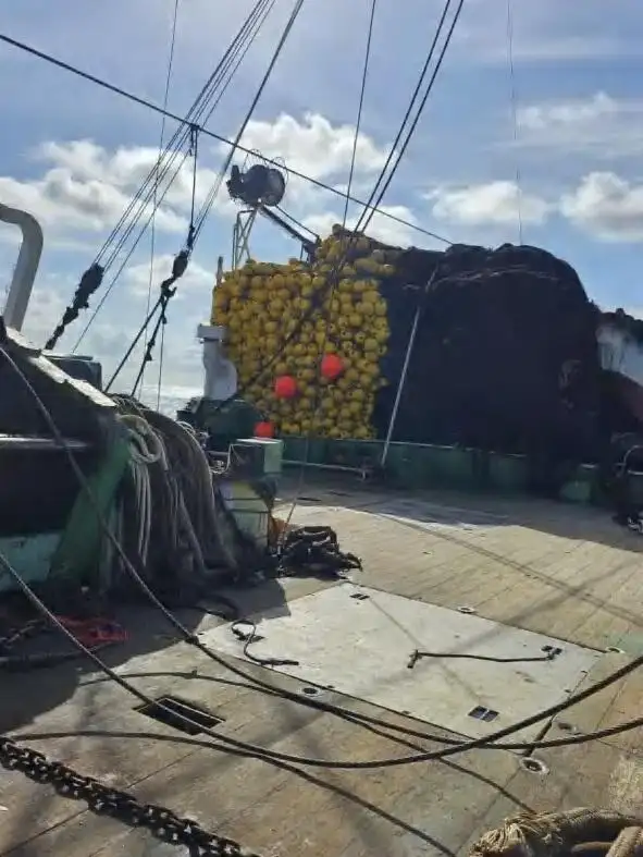 Kapal pukat cincin untuk dijual