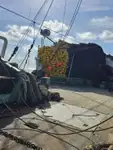 Kapal pukat cincin untuk dijual