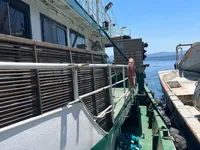 Kapal pukat cincin untuk dijual