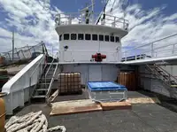 Kapal pukat untuk dijual