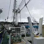 Kapal pukat cincin untuk dijual