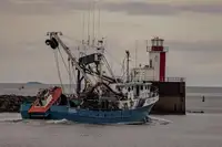 Kapal pukat cincin untuk dijual
