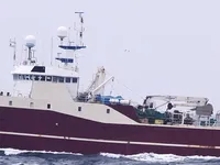 Kapal pukat untuk dijual