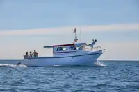 Kapal feri untuk dijual