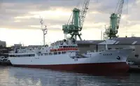 Kapal pukat untuk dijual