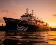 Kapal survei untuk dijual