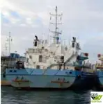 Kerajinan Pendaratan, Tank dijual