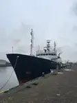 Kapal survei untuk dijual
