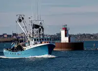Purse seiner dijual