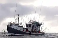 Kapal pukat untuk dijual