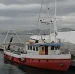 perahu kerja dijual