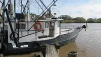 Kapal pukat untuk dijual