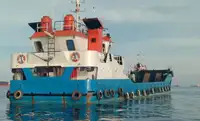 Kapal pendarat, tank untuk dijual