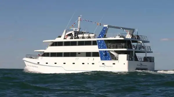 Catamaran for sale