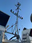 Kapal tunda untuk dijual