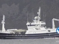 Kapal pukat untuk dijual