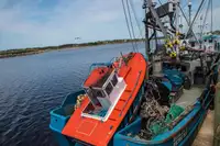 Kapal pukat cincin untuk dijual