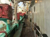 Kapal penangkap cumi-cumi untuk dijual