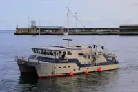 Kapal survei untuk dijual