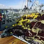Kapal pukat cincin untuk dijual