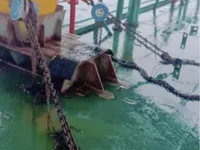 Tongkang untuk dijual