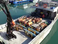 perahu kerja dijual