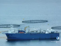 Kapal pendingin untuk dijual