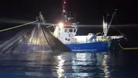 Kapal pukat untuk dijual