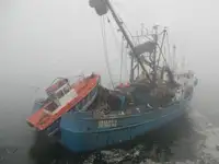 Kapal pukat cincin untuk dijual