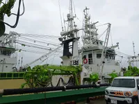 Kapal pukat cincin untuk dijual