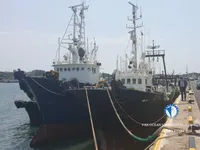 Kapal pukat untuk dijual