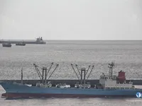 Kapal pendingin untuk dijual