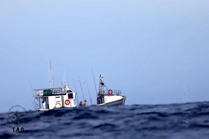 Kapal pukat untuk dijual