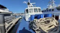 Kapal patroli untuk dijual