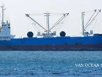 Kapal pendingin untuk dijual