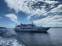 Kapal pesiar untuk dijual