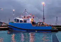 Kapal tunda untuk dijual