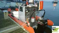 Perahu karet kaku untuk dijual