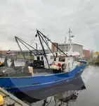 Pembawa ikan hidup dijual