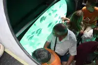 Kapal selam untuk dijual