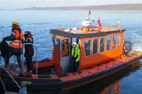 Perahu karet kaku untuk dijual