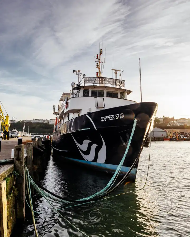 Kapal survei untuk dijual