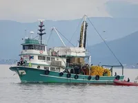 Kapal pukat cincin untuk dijual