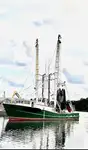 Kapal pukat untuk dijual