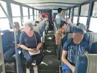 Amfibi untuk dijual