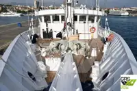 Kapal pesiar untuk dijual